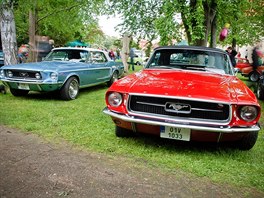Ford Mustang letos slaví 50 let od zahájení výroby. O pedposledním kvtnovém...