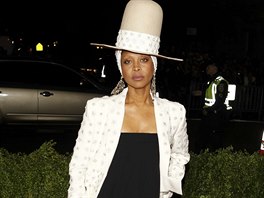 Erykah Badu (New York, 5. kvtna 2014)