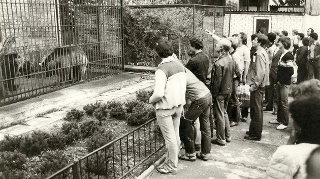 Návštěvníci stojí před klecí medvědů hnědých. Snímek je pořízený v 80. letech.