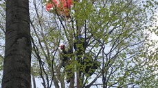Paraglidistovi pomohli ze stromu hasii. (1.5.2014)