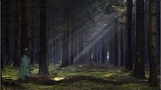 V lese Bor se údajn stávají paranormální jevy