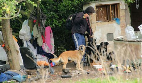 Bezdomovci se nasthovali do zahradních chatek v Plzni na Skvranech.
