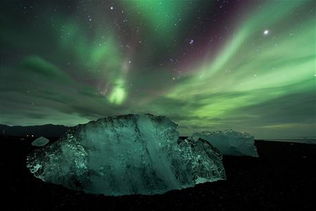 Polární záe u Jökulsárlónu