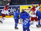 Hokejisté Dánska práv dali gól Itálii a radují se.