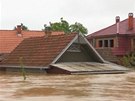 Povodně v Srbsku a Bosně