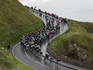 PELOTON. Cyklisté bhem druhé etapy Giro d'Italia.