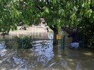 Velká voda zaplavila i srbské msto Veliki Crljeni (18. kvtna)