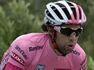 Michael Matthews v páté etap Giro d' Italia