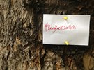 Lísteek s hashtagem #bringbackourgirls upozoruje v centru Londýna na unesené...