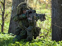 Vojensk manvry NATO v Estonsku