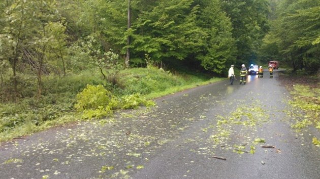 Tsn ped vozidlo na silnici Odry - Splov v Moravskoslezskm kraji spadl vlivem vtru a podmoen pdy strom a idika ji nestaila zastavit a narazila do nj (15. kvtna)