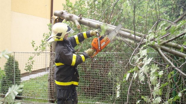 Hasii v Ostrav-Porub likvidovali ped polednem zlomen strom zasahujc do chodnku. (15. kvtna)