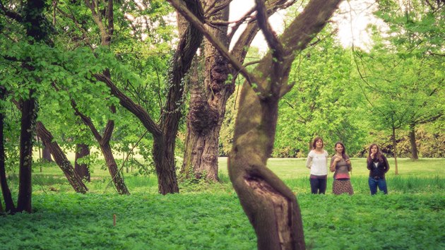 Studentky chystaj na blickm hbitov v Praze Les vzpomnek, kde se bude popel zemelch ukldat ke koenm strom.