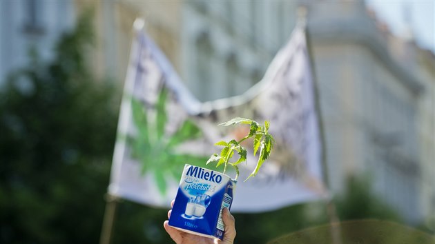 17. ronku Million Marihuana March, pochodu za legalizaci konop, se zastnilo nkolik tisc lid. (10. kvtna 2014)