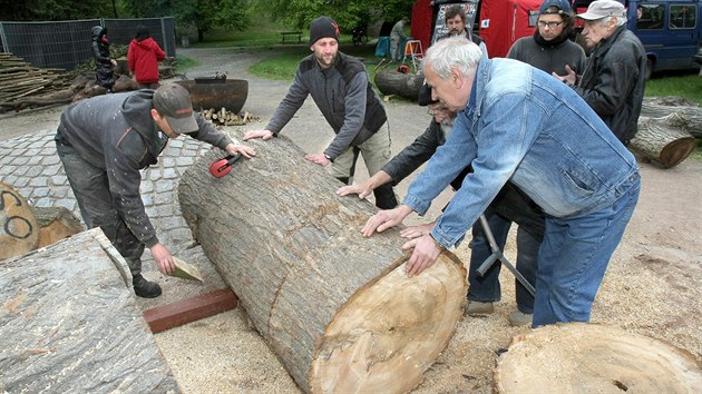 Akce Sochy 2014 ve Chvojkových lomech v Plzni. Vznikne tady několik soch ze dřeva, kamene a kovu, které zůstanou součástí parku.