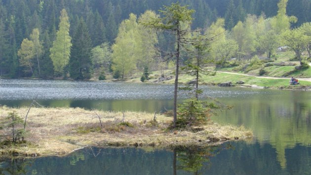 Trasa Bavorskm lesem vede i kolem malho Javorskho jezera