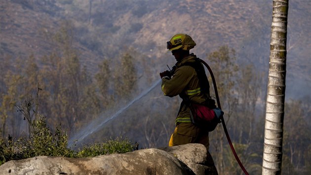 Hasii bojuj s lesnmi pory v Kalifornii (13. kvtna 2014).