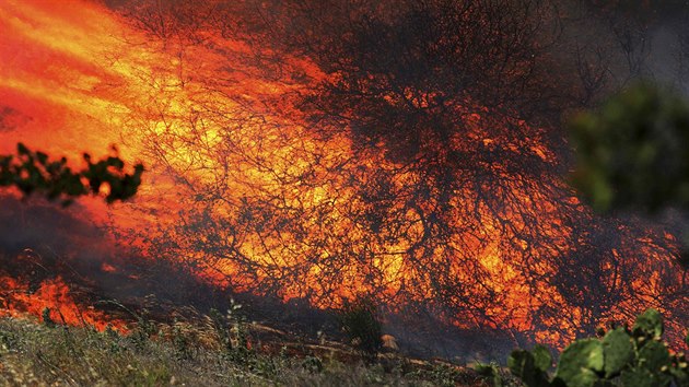 Hasiči bojují s lesními požáry v Kalifornii (13. května 2014).