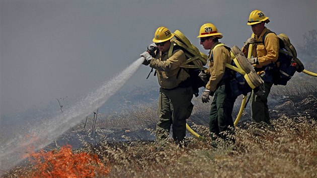 Hasii bojuj s lesnmi pory v Kalifornii (13. kvtna 2014).