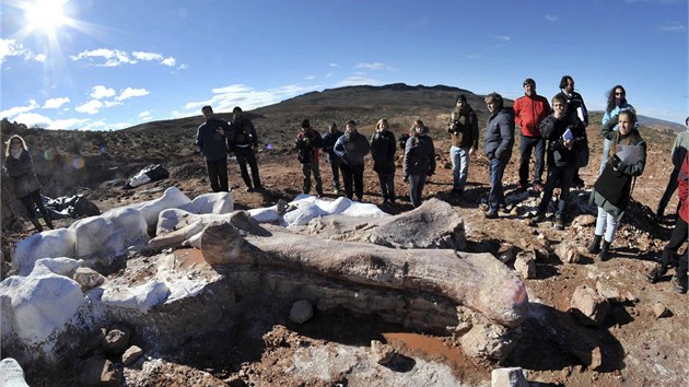 Pozstatky 40 metr dlouhho sauropoda byly odhaleny na poli asi 260 kilometr od Trelewu (16. ervna 2014).