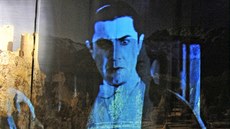 Re�isér inscenace Tajemný hrad v Karpatech Martin Vokoun doplnil výkony herc�...