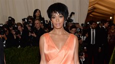 Solange Knowlesová na Met Gala v Metropolitním muzeu (New York, 5. kvtna 2014)