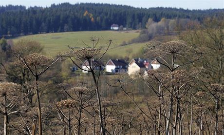 Okolí Pramen zarstá bolevníkem, na jeho pravidelné seení obec nemá peníze.