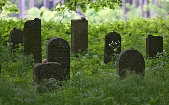 Židovský tyfový hřbitov se nachází v ostrůvku zeleně uprostřed pole nad severním cípem Havlíčkova Brodu.