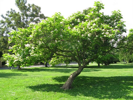 Park generála Lázara Cárdenase