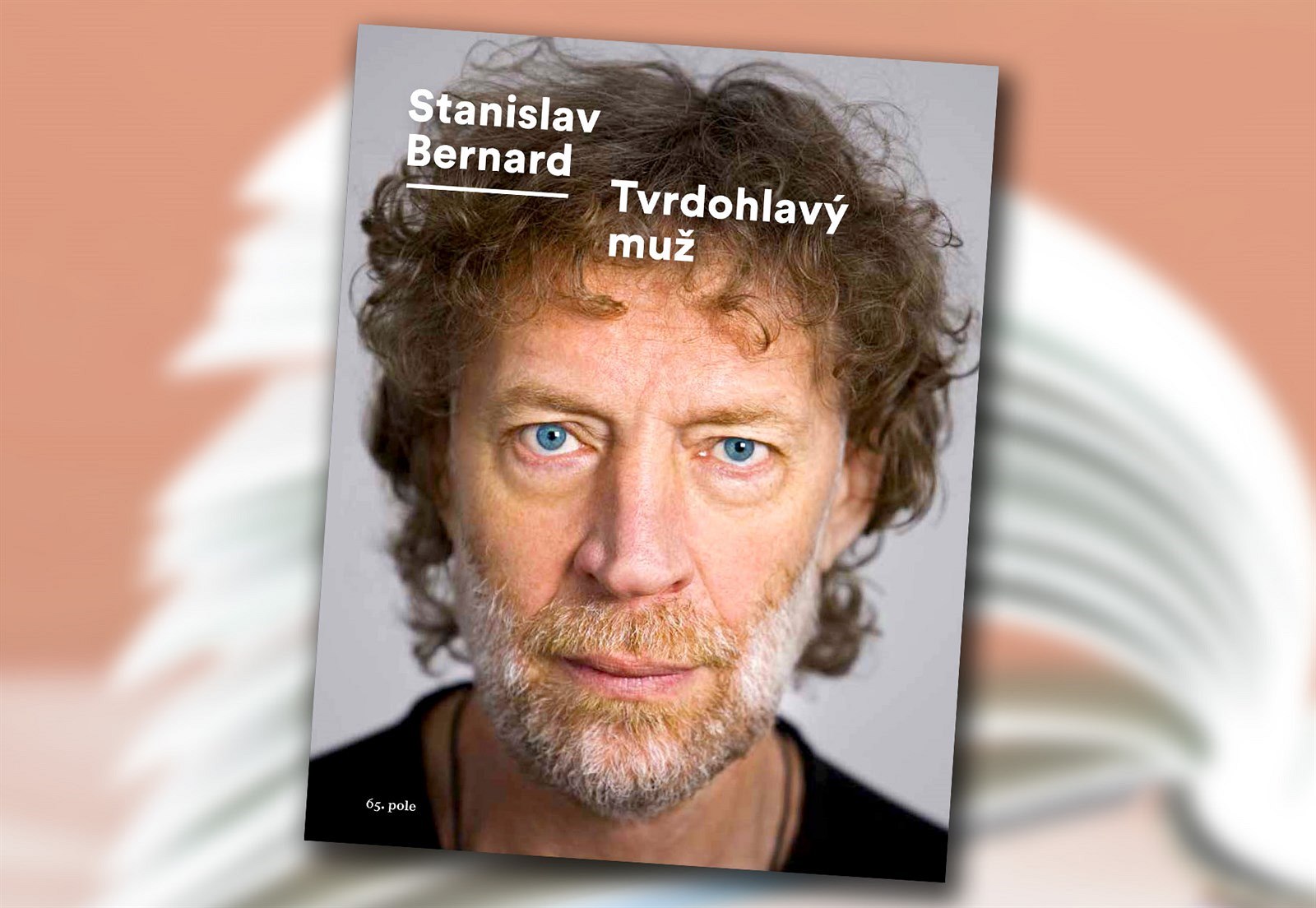 Obal knihy Stanislav Bernard - Tvrdohlavý mu�