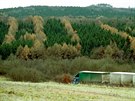 Údajný nápis v takzvaném Hitlerov lese u Zubrnic dobe vynikne na podzim, kdy...