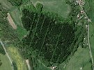 Pohled z výky na takzvaný Hitlerv les u Zubrnic legendu o nápisu nabourává.