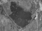 Letecký snímek z roku 1954 ukazuje takzvaný Hitlerv les u Zubrnic prakticky ve...