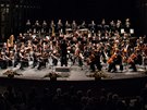 Moderní koncertní síň v Ostravě by měla využívat Janáčkova filharmonie. 