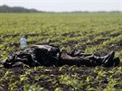 Tlo zabitého vojáka pikryté uniformou nedaleko východoukrajinské vesnice...
