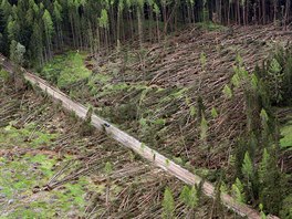 Vichice polámala desítky tisíc strom ve Vysokých Tatrách na Slovensku. Snímek...