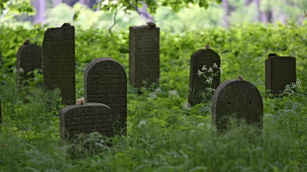 Uprosted pole nad severnm cpem Havlkova Brodu, dve Nmeckho, jen nkolik set metr od mstskho hbitova je patrn ostrvek obklopen vzrostlmi stromy. Ten ve svch trobch skrv uniktn historickou pamtku  idovsk tyfov hbitov, kter je jedinm svho druhu na naem zem.