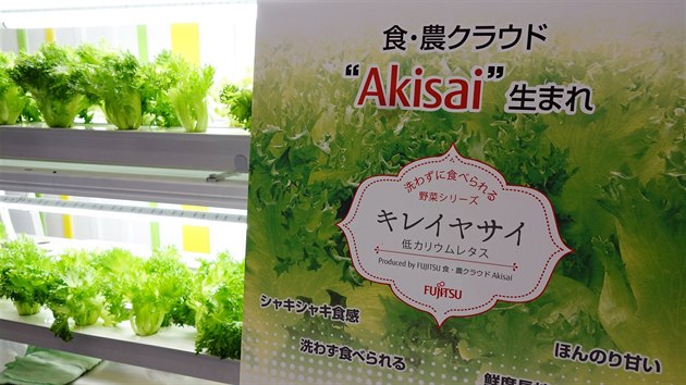 Pomoc cloudovho systmu Akisai zatm Fujitsu pstuje jen salt. Pozdji by mlo nabdnout i dal druhy zeleniny.