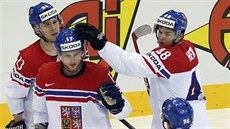 GÓL NADJE. eský hokejista Vladimír Sobotka sníil v utkání s Francií na 1:3.