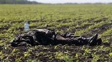 Tlo zabitého vojáka pikryté uniformou nedaleko východoukrajinské vesnice...