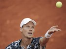 SERVIS. eský tensita Tomá Berdych se pipravuje na podání v utkání 3. kola...