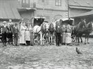 Zamstnanci kolínské sodovkárny v roce 1912. Uprosted je prababika Pavla...