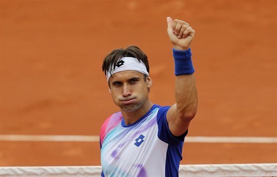 David Ferrer