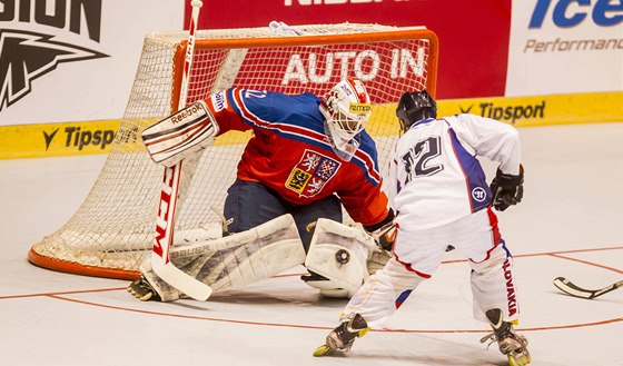 Inline hokej -ilustraní foto