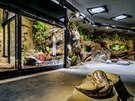 V zoologické zahrad se otevelo Velemlokárium, unikátní pavilon urený pro...