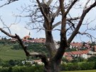 Jihomoravská obec roku - Vrbice na Břeclavsku.