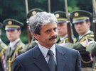 Slovenský premiér Mikulá Dzurinda pi státní návtv eska (28. kvtna 2001)