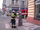 Hasii likvidují zbytek velího roje na kiovatce ulic Lidická a Presslova v...