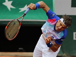 panlsk tenista David Ferrer podv v utkn 4. kola Roland Garros.