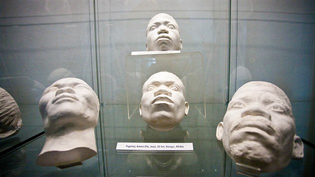 V náchodském muzeu začala výstava posmrtných masek slavných lidí a potrvá až do konce prázdnin. Návštěvníci se mohou podívat také na etnografické masky indiánů, Eskymáků nebo Pygmejů, které vědci odlévali z tváří živých lidí kvůli antropologickému výzkumu.